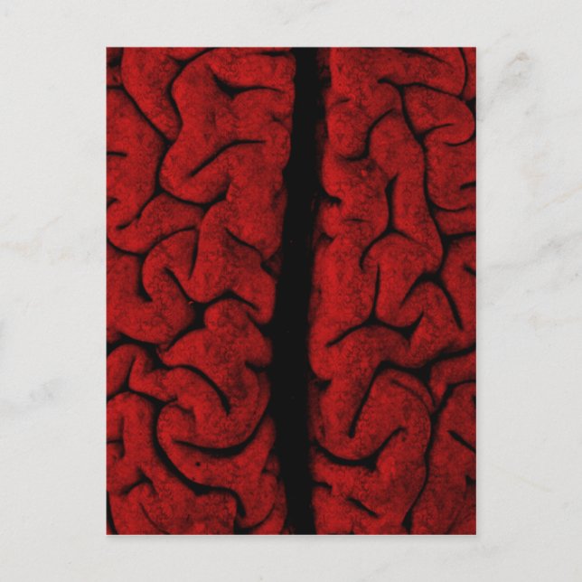 Postal cerebral vintage (Anverso)