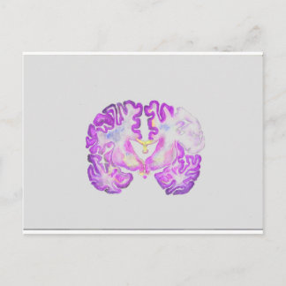 Postal Cerebro