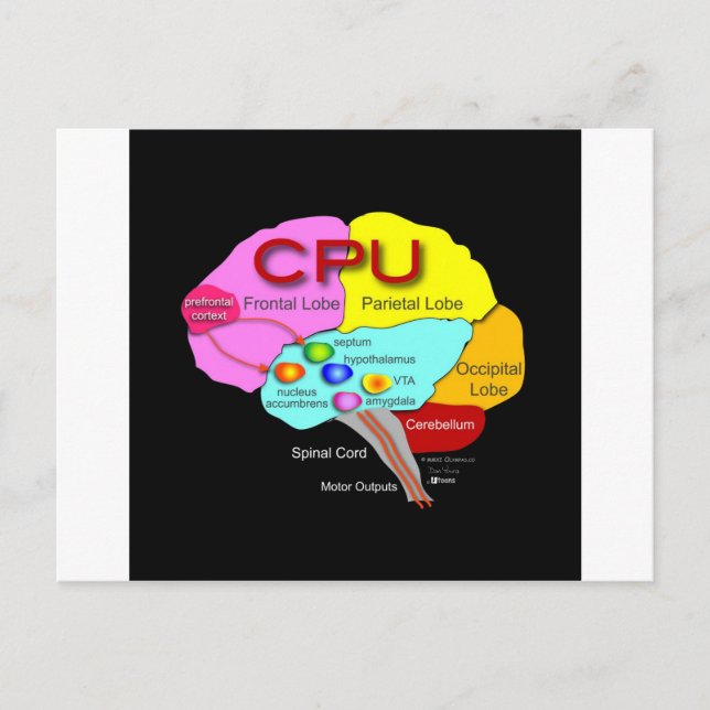 Postal Cerebro de CPU (Anverso)