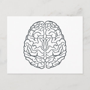 Postal Cerebro humano