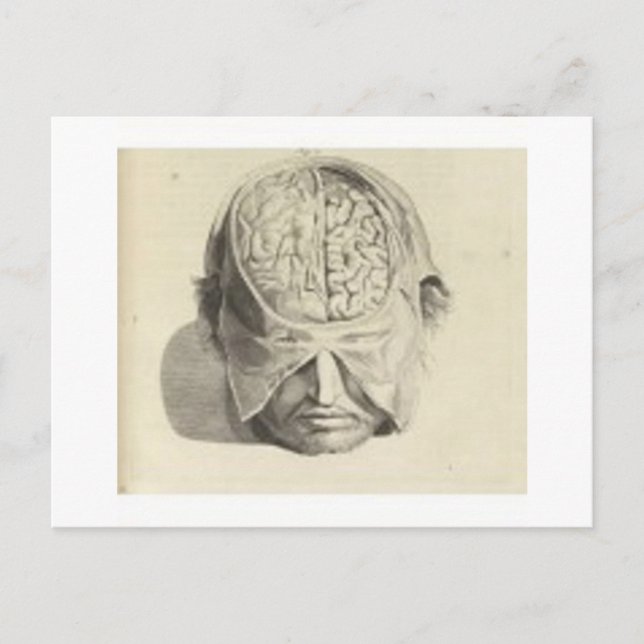 Postal Cerebros (Anverso)