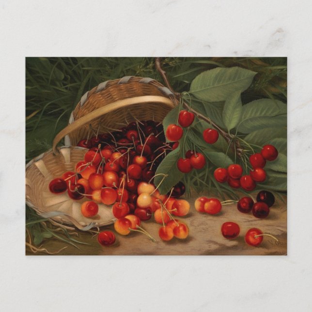 Postal Cerezas (Anverso)