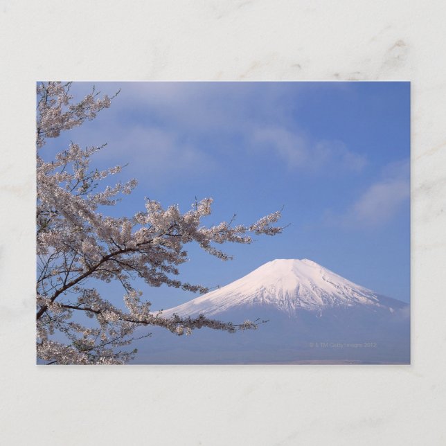 Postal Cerezo en flor y Monte Fuji 2 (Anverso)