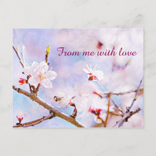 Postal Cerezo japonés - Sakura en flor