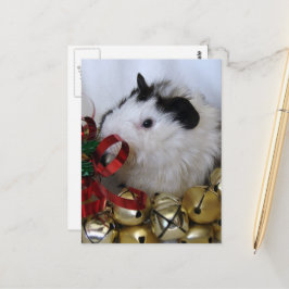 Postal Cero adorable de Navidad bebé Conejillo de Indias