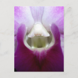 Postal cerrado por la flor orquídea
