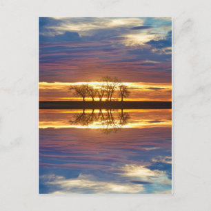 Postal Cerrar encuentros dos