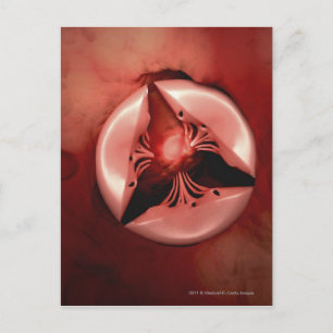 Postal Cerrar la vista de la válvula tricuspída del coraz