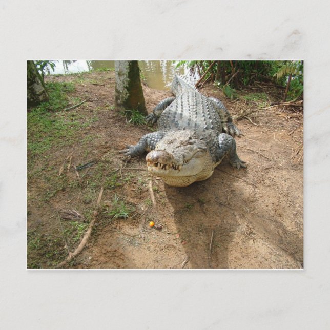 Postal Cerrar llamada (Anverso)