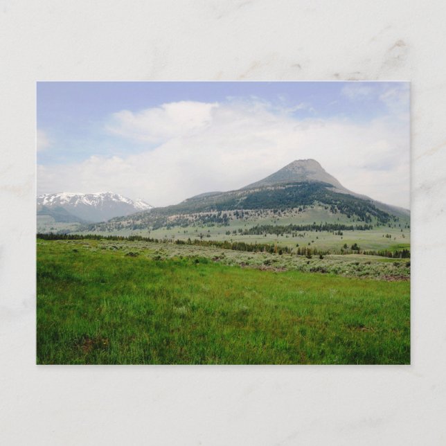 Postal Cerro Beartooth (Anverso)