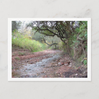 Postal cerro colorado