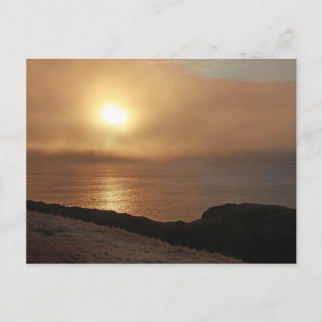 Postal Cerro Signal, Terranova (Anverso)