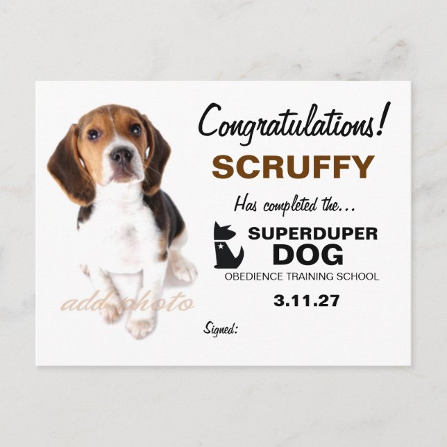 Postal Certificado de Perro de 311 super Duper (Anverso)