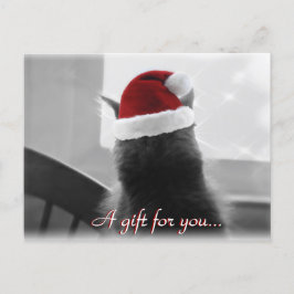 Postal Certificado de regalo de gato para Navidades adora