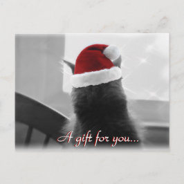 Postal Certificado de regalo de gato para Navidades adora