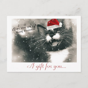 Postal Certificado de regalo para gatos de Navidades dive