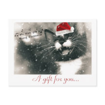 Certificado de regalo para gatos de Navidades dive