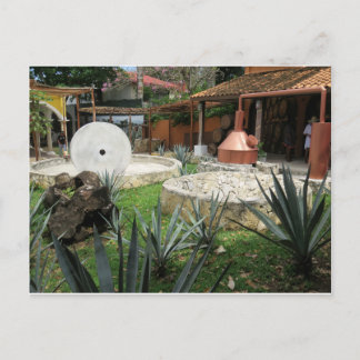 Postal Cervecería Tequila en Cozumel