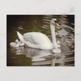 Postal Cerveza silenciosa con insectos en el agua