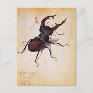 Postal Cervus Lucanus por Albrecht Durer