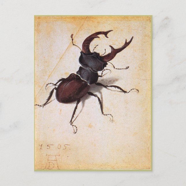 Postal Cervus Lucanus por Albrecht Durer (Anverso)