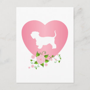 Postal Cesky Terrier