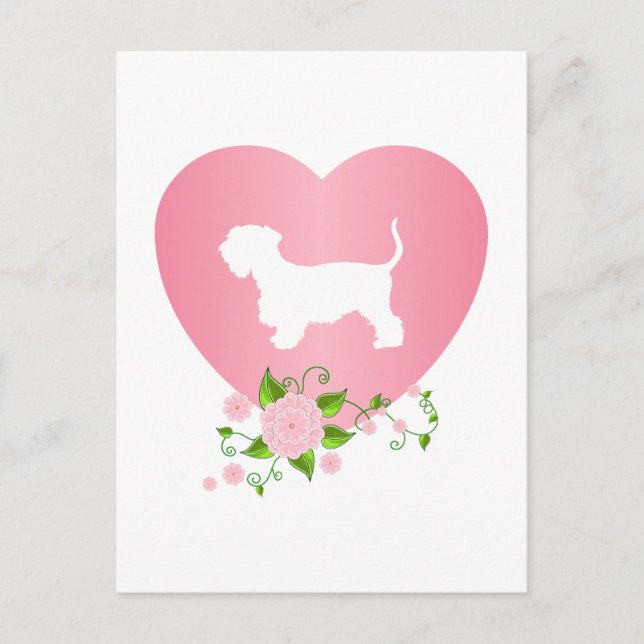 Postal Cesky Terrier (Anverso)