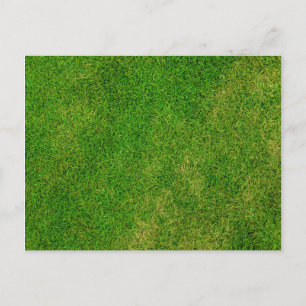 Postal Césped de hierba