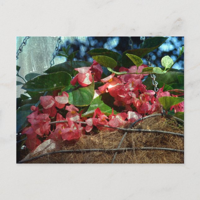 Postal Cesta de flores (Anverso)