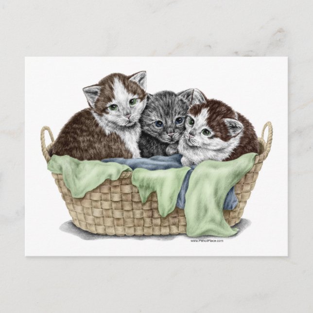 Postal Cesta de gatitos (Anverso)