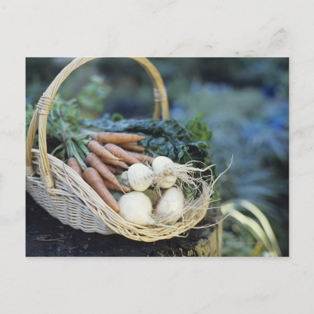 Postal Cesta de nabos y zanahorias, cerca (Anverso)