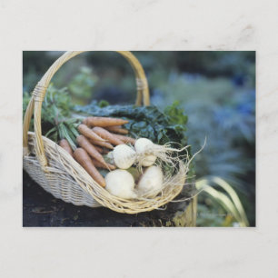 Postal Cesta de nabos y zanahorias, cerca