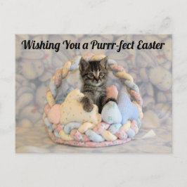 Postal Cesta de Pascua de Patton - Postcard