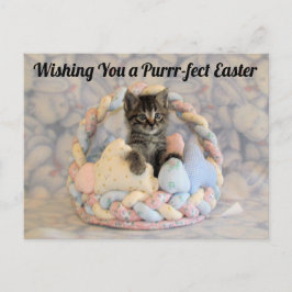 Postal Cesta de Pascua de Patton - Postcard