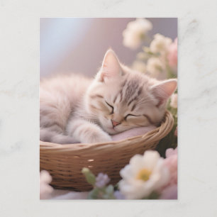 Postal Cesta Floral de Gatito Durmiente Soñador