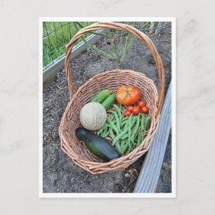 Postal Cesta que contiene cosecha fresca de verduras