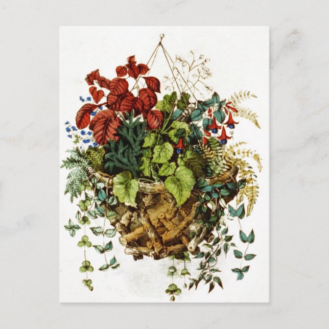 Postal Cesta rústica de ramas con flores y plantas (Anverso)