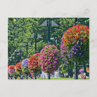 Postal Cestas de flores colgantes