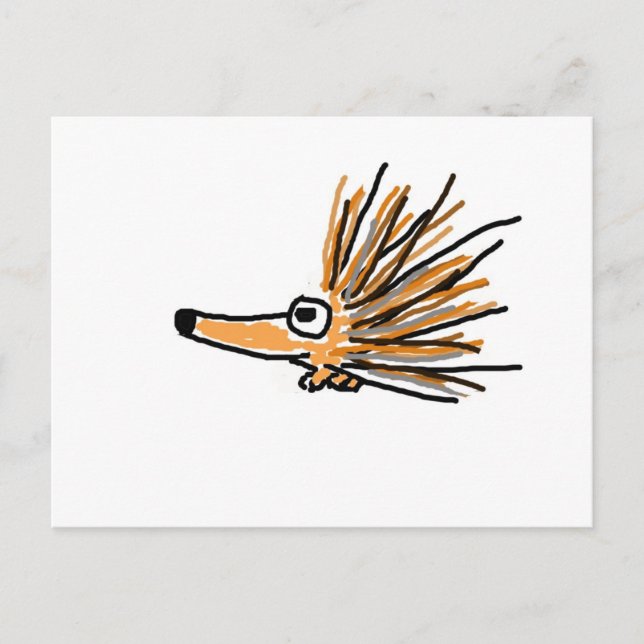 Postal CF- Porcupine Funky (Anverso)