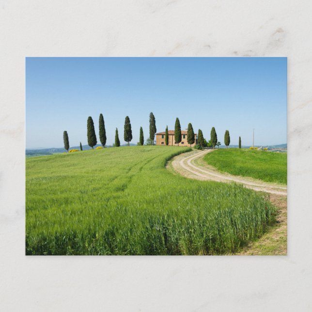 Postal Chalet de campo con cipreses en la Toscana (Anverso)