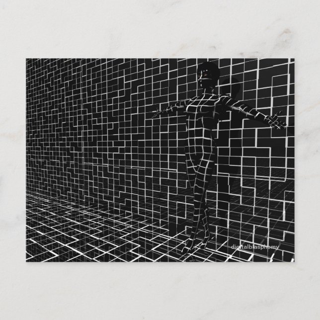 Postal Chamelea Postcard (Anverso)