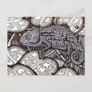 Postal Chameleon