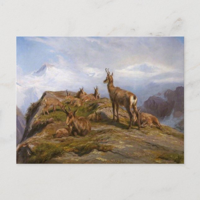 Postal Chamois por Rosa Bonheur Postcard (Anverso)