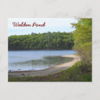 Charca de Walden, concordia, MAMÁES