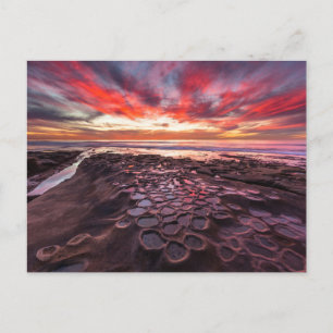 Postal Charcas de marea en La Jolla, CA