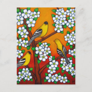 Postal Chardonnay Sunset Post Card