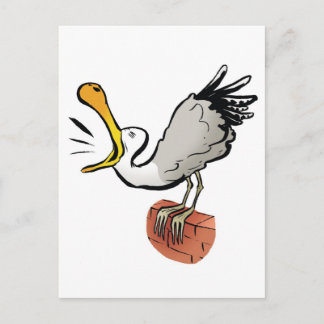 Postal Charla de gaviota