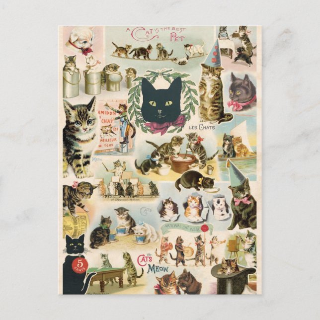 Postal Charlas colaterales (Anverso)