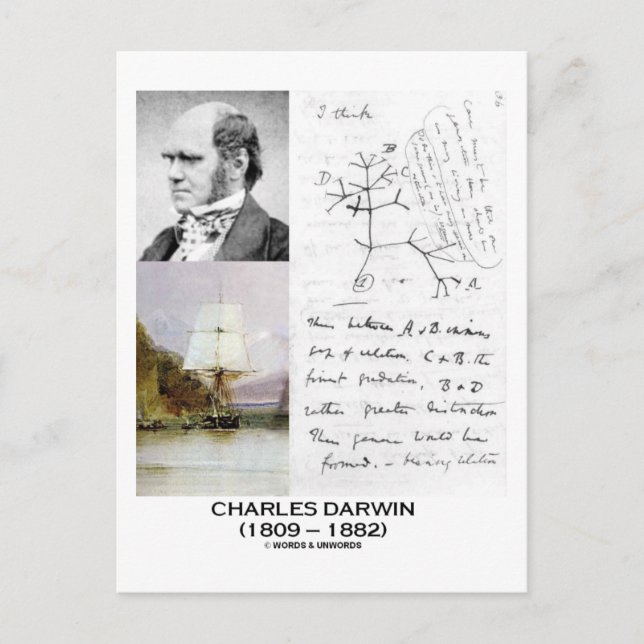 Postal Charles Darwin (Darwin HMS Beagle Phylogenetics) (Anverso)
