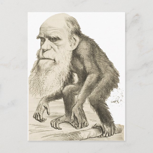 Postal Charles Darwin, el hombre mono (Anverso)